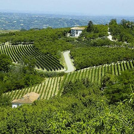 Agriturismo Cascina Anri Mango Zewnętrze zdjęcie