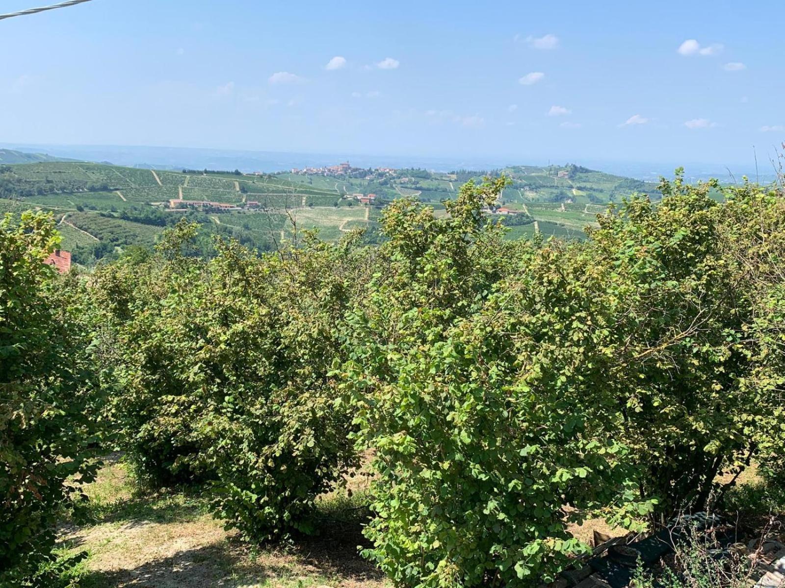 Agriturismo Cascina Anri Mango Zewnętrze zdjęcie